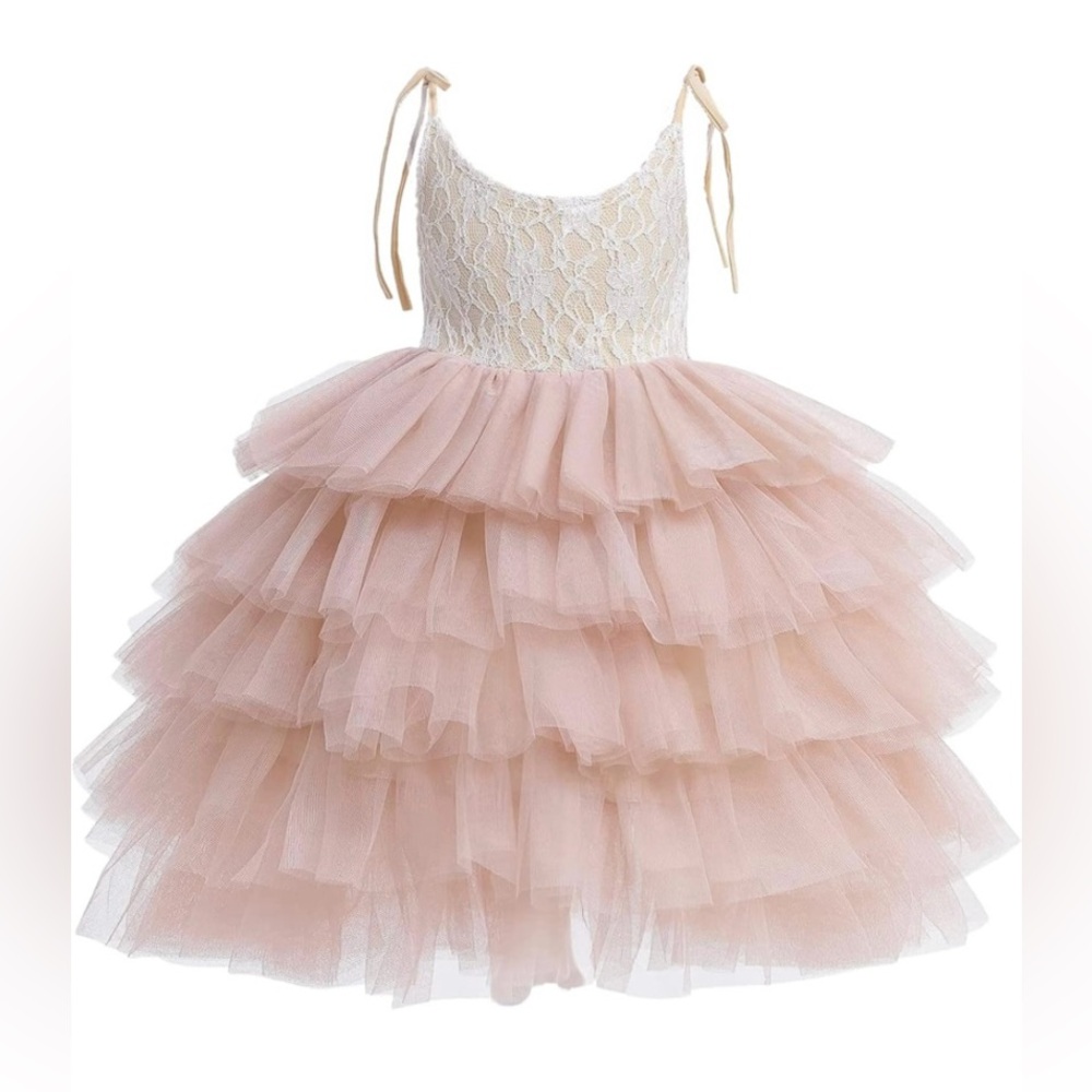 Lace Mesh Party Dress Flower girl dress pink